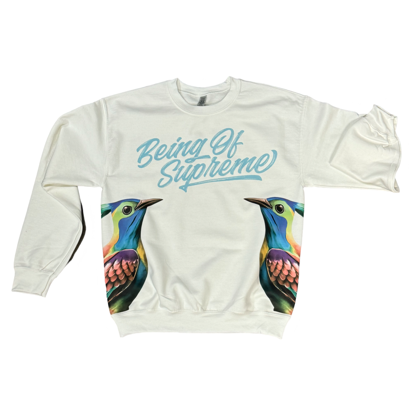 Being of Supreme bird sweatshirt